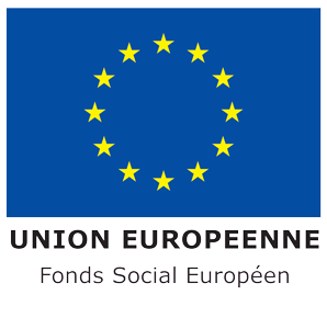 Logo  Fonds Social Européen