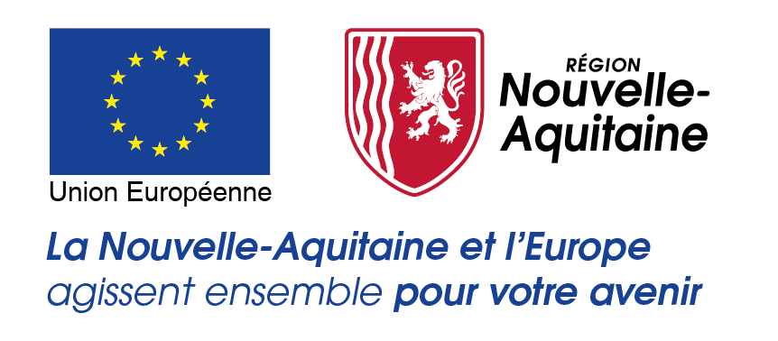 Logo Fonds Social Européen et Région