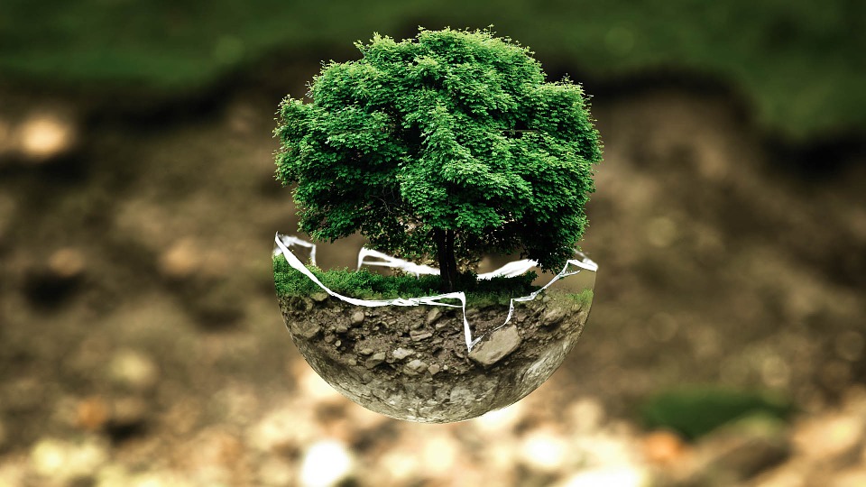 Photo environnement
