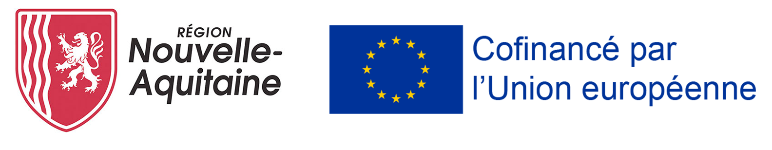 Logo Fonds Social Européen et Région